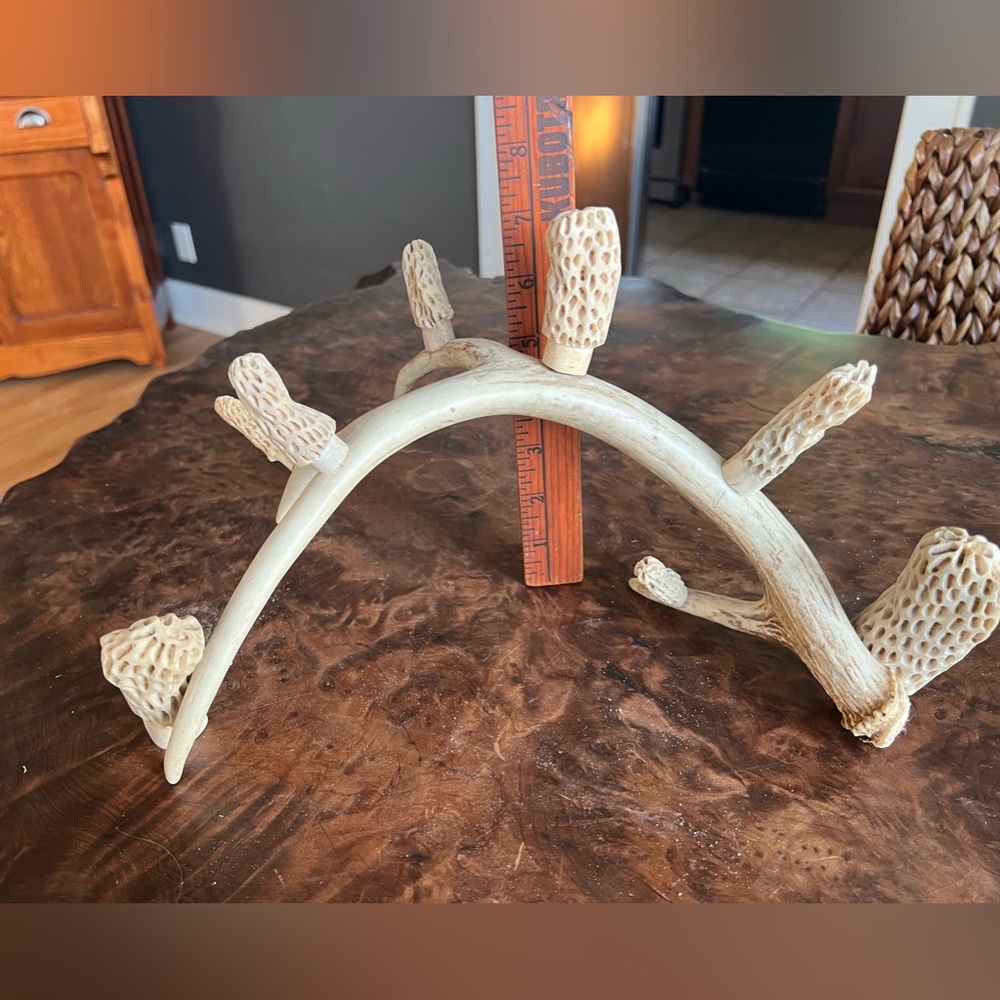 Folk Art Whitetail Shed Antler with hand carved morel mushrooms. - Picture 4 of 11